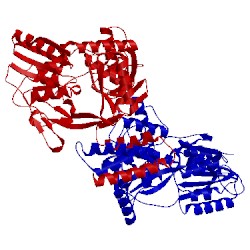 Image of CATH 4c2e