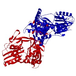 Image of CATH 4c2h