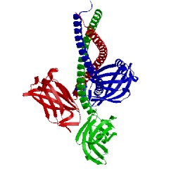 Image of CATH 4c47