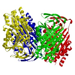 Image of CATH 4c49