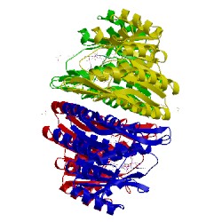Image of CATH 4c5n