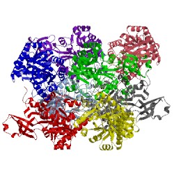 Image of CATH 4c65