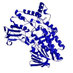 Image of CATH 4c74