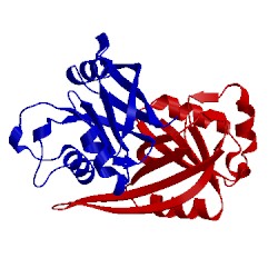 Image of CATH 4c86