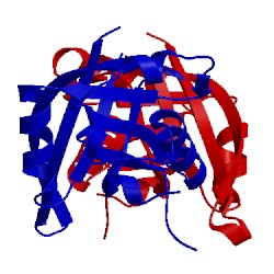 Image of CATH 4c8c