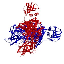 Image of CATH 4c90