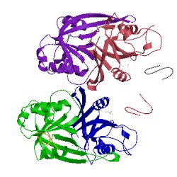 Image of CATH 4c9e