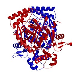 Image of CATH 4can