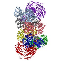 Image of CATH 4cbb