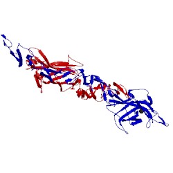 Image of CATH 4cc0