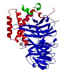 Image of CATH 4cc9