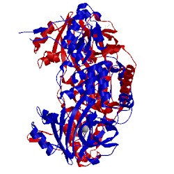 Image of CATH 4ccn