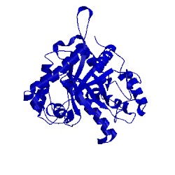 Image of CATH 4cd4