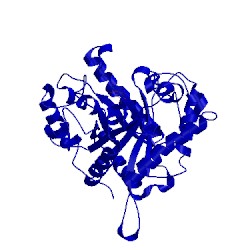 Image of CATH 4cd5