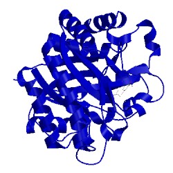 Image of CATH 4cd6