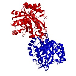 Image of CATH 4cd7