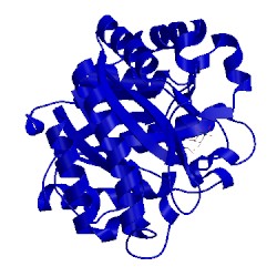 Image of CATH 4cd8