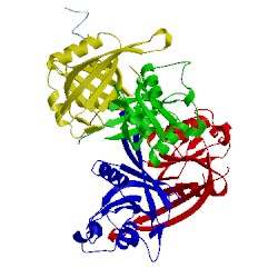 Image of CATH 4cdk