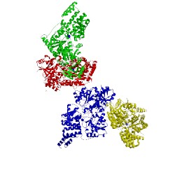 Image of CATH 4cdr