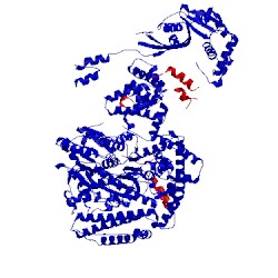 Image of CATH 4ceh