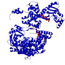 Image of CATH 4cej