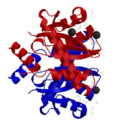 Image of CATH 4cf8