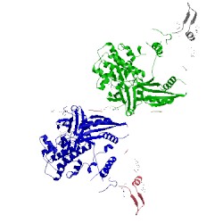Image of CATH 4cfe