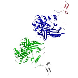 Image of CATH 4cff