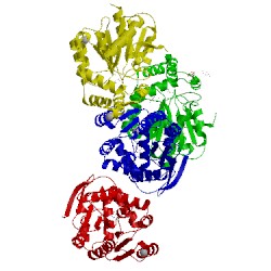 Image of CATH 4cfs