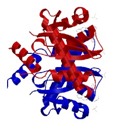 Image of CATH 4cgi