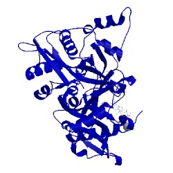 Image of CATH 4cgn