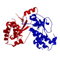 Image of CATH 4cgx