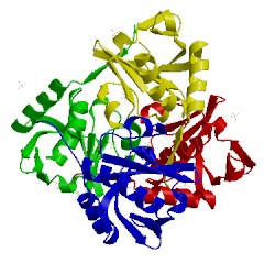 Image of CATH 4chm