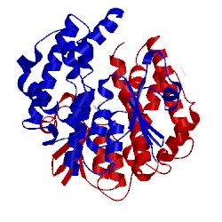 Image of CATH 4chs