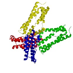 Image of CATH 4cih