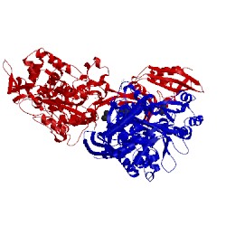 Image of CATH 4cjn