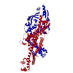 Image of CATH 4ckl