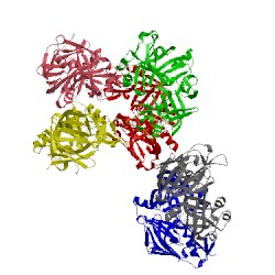 Image of CATH 4cku