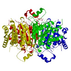 Image of CATH 4clh