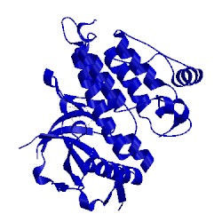 Image of CATH 4cli