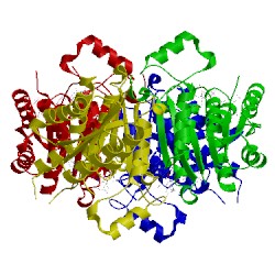 Image of CATH 4clr