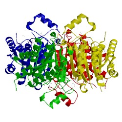 Image of CATH 4clx