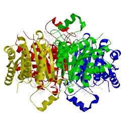 Image of CATH 4cm3