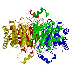 Image of CATH 4cm4