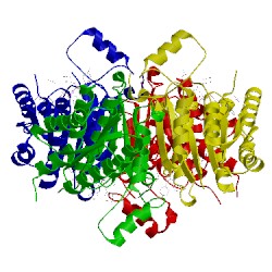 Image of CATH 4cmb