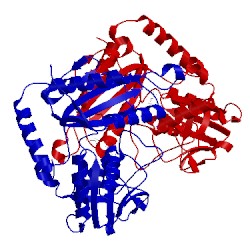 Image of CATH 4cmd