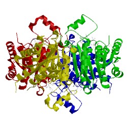 Image of CATH 4cme
