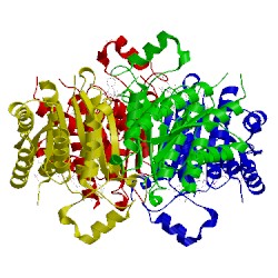 Image of CATH 4cmi