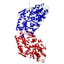 Image of CATH 4cmr