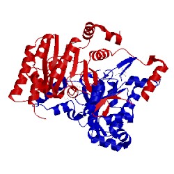 Image of CATH 4cmw